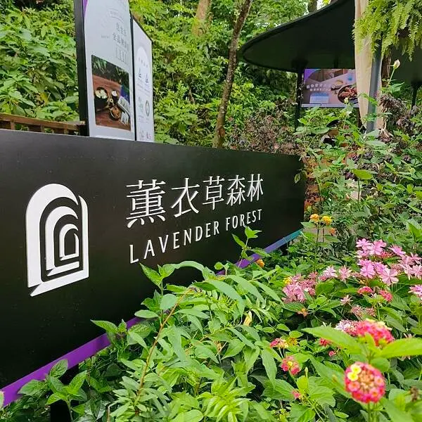 台中市新社區(台中/新社)薰衣草森林-新社店，季節限定繡球花餐及繡球花霜淇淋必品嘗