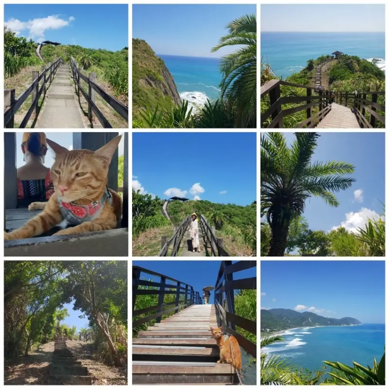 【花蓮.豐濱】大石鼻山|龜庵山步道。簡易型15分鐘爬山行程360度無死角超美海景