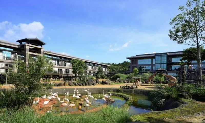 【六福村住宿】Top3六福村飯店，媽媽們狂推薦！