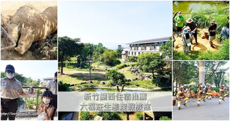 新竹親子飯店推薦|關西六福莊生態度假旅館-入住動物園在房間內看動物，跟斑馬犀牛狐獴一起睡|萬聖節優惠