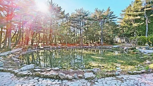 2022福壽山農場天池-有如人間仙境的美麗,隱藏在山頂上的湖泊,千里難尋的美景