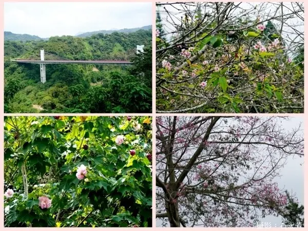 秋高氣爽旅遊正是時候，溪頭米堤大飯店推出夜間生探索、幸福茶餅。