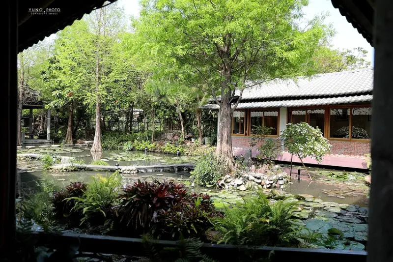 隱身市區的絕美「落羽松秘境」景觀網美餐廳VS古早味農家菜 台中南屯寵物友善餐廳｜田寮農莊