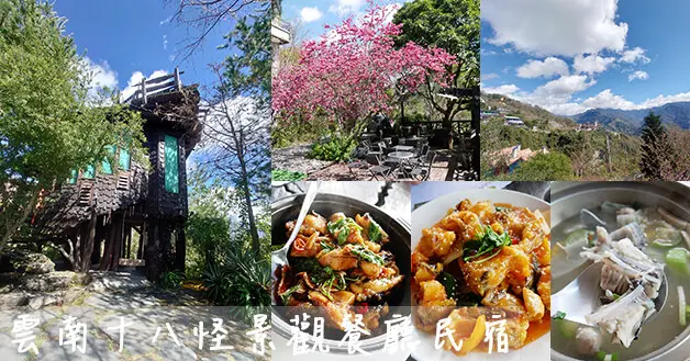 【南投景觀餐廳】雲南十八怪景觀餐廳民宿(寵物友善餐廳)，以漂流木打造的餐廳空間，景緻視野極佳，提供雲南特色料理、高山鱘龍魚料理，附停車場。清境寵物友善餐廳
