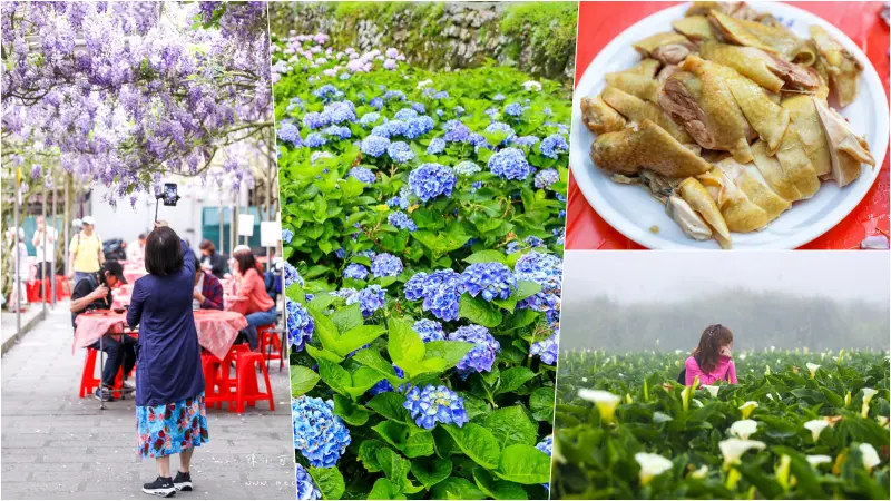 【陽明山土雞推薦】7間陽明山土雞名單分享，竹子湖餐廳推薦！