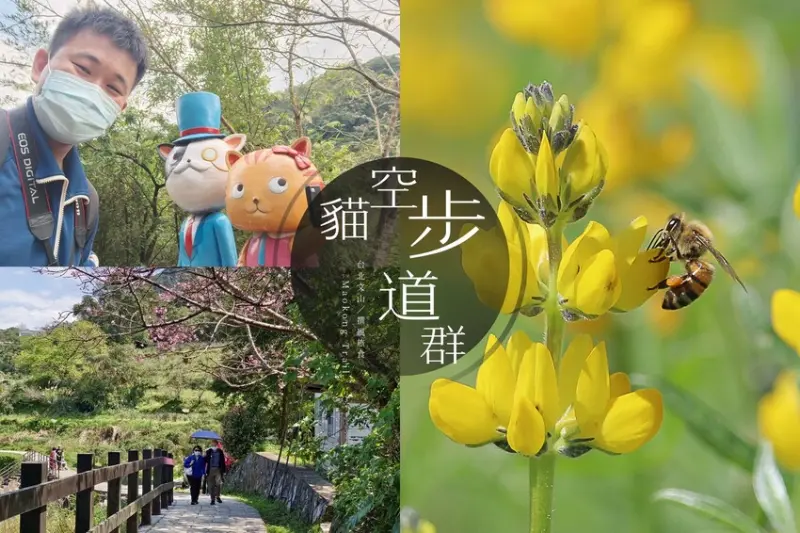 台北景點／古典「指南宮千階親山步道」石燈籠步道，超好拍的貓空指南風景區