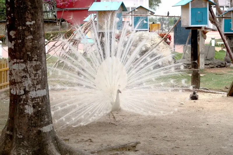 台南旅遊 - 頑皮世界。2021.07水樂園即將開幕，不只是動物園還有遊樂園，來一趟南臺灣的寓教於樂之旅 - Mo太太 - 生活大小事
