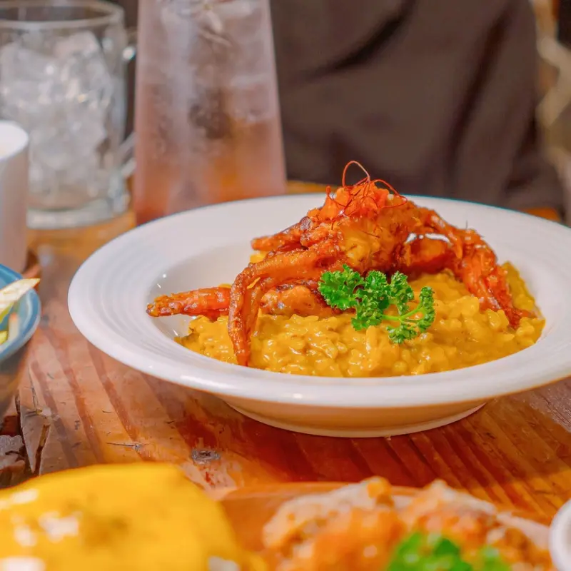 東區不限時貓咪咖啡廳，能瘋狂擼貓還有超美味餐點，水波蛋大推必點 | 【台北 大安區】Toast Chat