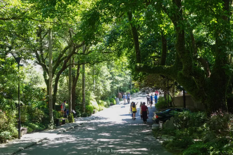 【新北住宿】大板根森林溫泉渡假村，走進侏羅紀恐龍公園！設施、房間、餐廳總整理。