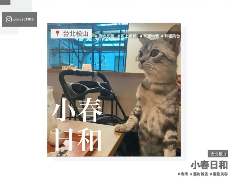 【小春日和】｜民生社區｜貓貓友善｜貓咪寵物咖啡廳｜動物雜貨｜珈琲