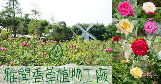 【苗栗免門票景點】雅聞香草植物工廠(寵物友善景點)，將花草植物與藝術結合搭配著柔美的音樂旋律，走進園區讓人格外放鬆，還有異國風的多肉植物區真可愛。苗栗旅遊 親子旅遊景點