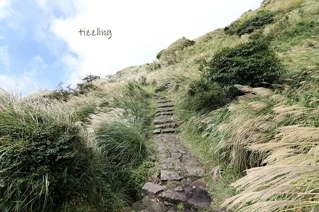 2021芒草季｜2021陽明山七星山步道｜七星山主峰｜七星山東峰｜夢幻湖，秋季健行～