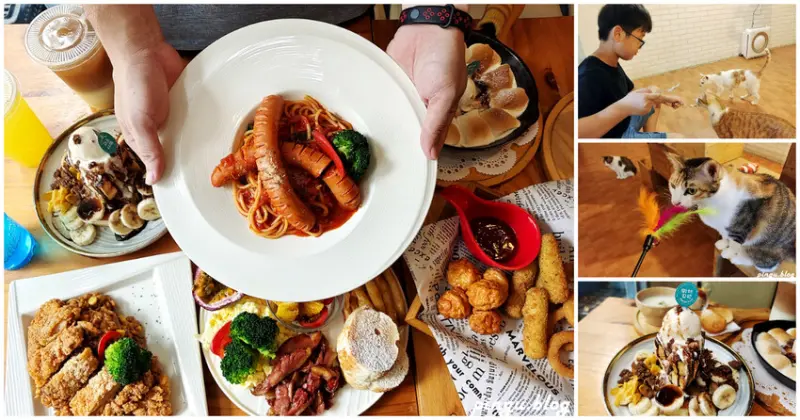 員林美食｜鄉村貝拉(貓餐廳) 地中海風特色餐廳 發現萌貓出沒 貓奴們嚕貓囉!! - 小企鵝生活趣