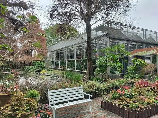 彰化菁芳園景觀餐廳~在綠意盎然~像掉入花海般的玻璃屋用餐~又有超夯季節落羽松作伴~好夢幻幸福的網美景點~
