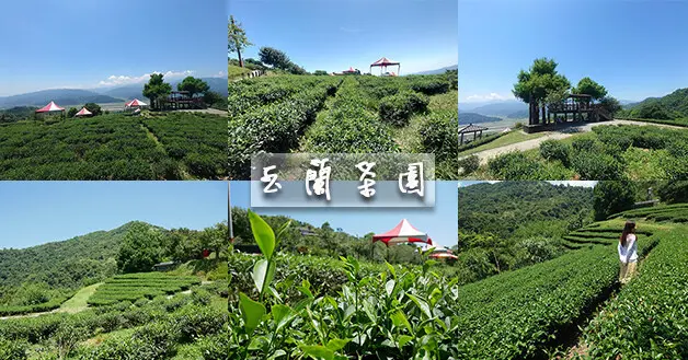【宜蘭景點】玉蘭茶園(寵物友善景點)，療癒的茶園美景讓人忍不住大口深呼吸，來這可以輕鬆欣賞美景或是坐下來泡茶聊天，一起來趟美麗的茶鄉之旅吧!。宜蘭親子旅遊景點
