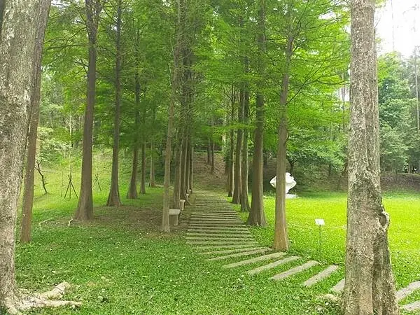 新竹北埔麻布山林富森餐廳無菜單料理~隱世隔絕~人間仙境的秘密森林~豐富生態還有環山步道~現在是螢火蟲季喔~