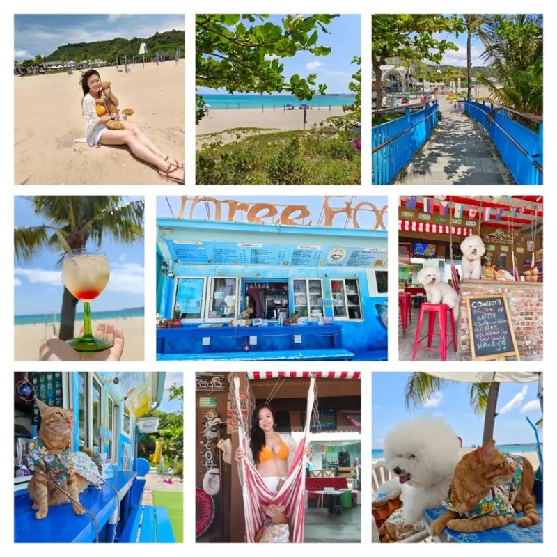 【屏東.南灣】三個傻瓜咖啡廳。拼盤炸物+比薩+調酒+沙灘躺椅超chill寵物超級友善