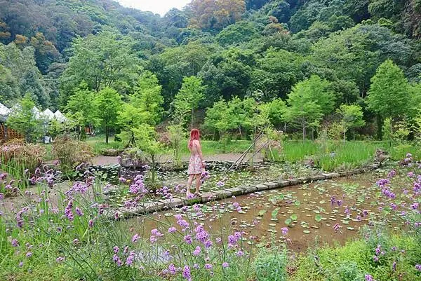 台中新社景點推薦：安妮公主花園 / WalkerLand窩客島整理提供 未經許可，不得轉載