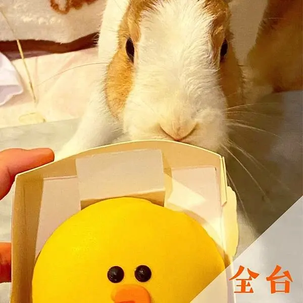 Mister Donut x Line Friends｜聯名甜甜圈新品推薦 @neru.foodie / 丸の良食