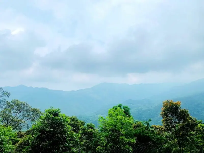 【食記】新竹縣-尖石鄉║六號花園➽隱身在山林中的餐廳 - 轉轉兒の旅行日記