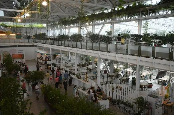 香草菲菲芳香植物博物館~~宜蘭室內景點推薦．漫遊充滿綠意的香氛世界