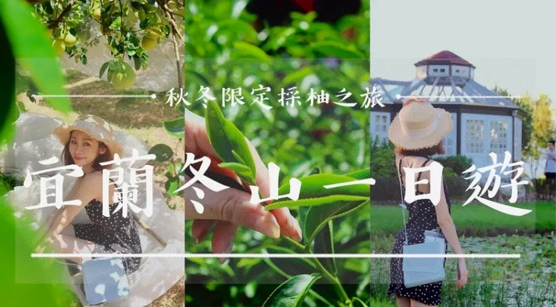 【旅遊】2021宜蘭冬山一日遊｜中山休閒農業區．柚見中山採柚去，花間茶語採茶樂，漫遊仁山植物園