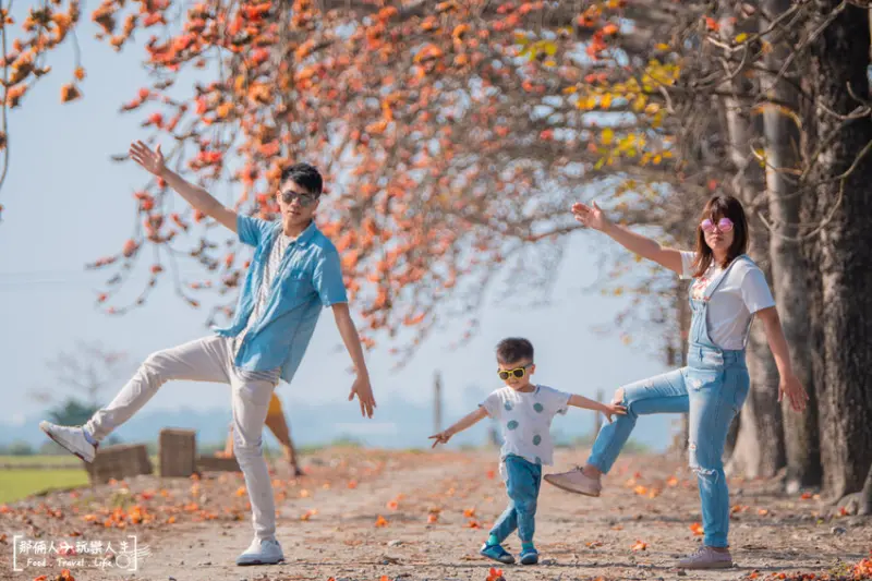 竹塘木棉花道｜彰化最美的木棉花景點之一，這樣拍對了～