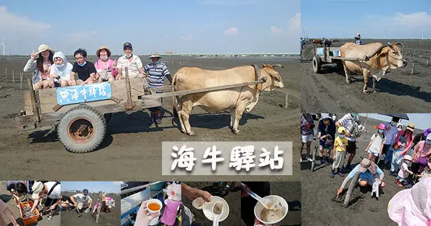 【彰化景點】海牛驛站(寵物友善設施)，搭著鐵牛車來到潮間帶體驗搭牛車、耙文蛤、品嚐現烤生蚵及海鮮粥是個充滿漁業風情的生態體驗。彰化親子旅遊景點 彰化寵物友善景點