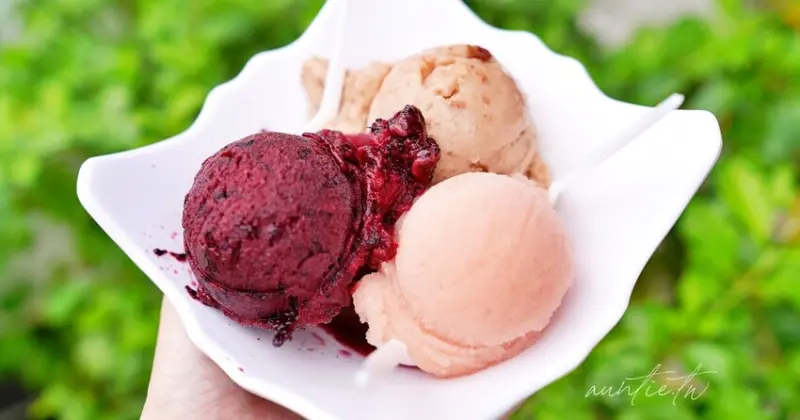 【新竹】竹東 | 竹東圳綿綿冰，紅心芭樂梅子冰，鮮果製作超fresh，夏日必吃冰品推薦