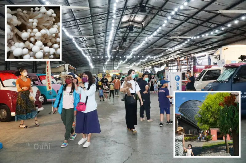 豐年靈芝菇類生態農場｜埔里景點推薦。首辦「菇菇同樂會胖卡嘉年華」，秋高氣爽採菇、烤菇、菇菇披薩DIY玩透透