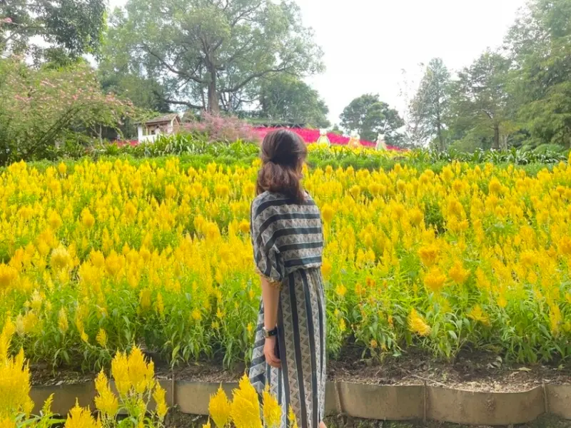 薰衣草森林｜台中景點 🏵 地毯式玩法 超詳細攻略 🏵