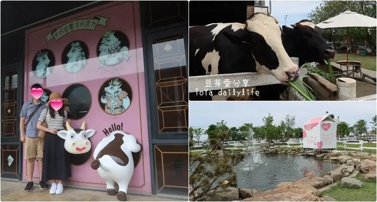 「千巧谷牛樂園牧場」免費入園、可以餵牛牛的觀光牧場《豆芽愛玩在雲林》