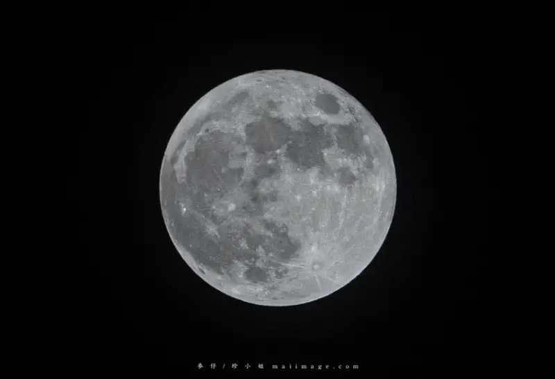 台北美食｜台北美之宴會館～，尾牙聚餐免續攤這裡就有專屬獨立KTV大包廂，士林在地台菜餐廳推薦、捷運劍潭