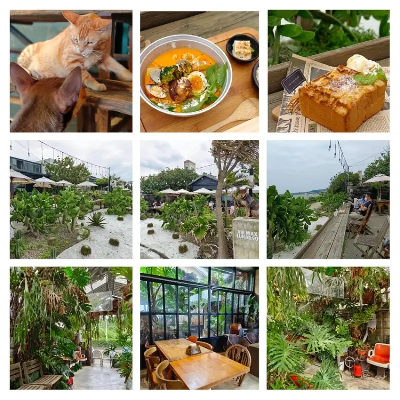 【新北.三芝】北海岸景觀餐廳推薦。公雞咖啡。食物好吃+淺水灣海景第一排+超級寵物友善