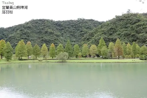 2022宜蘭員山蜊埤湖落羽松12/16即時現況｜宜蘭礁溪里海cafe' 超新鮮美味現流心料理～