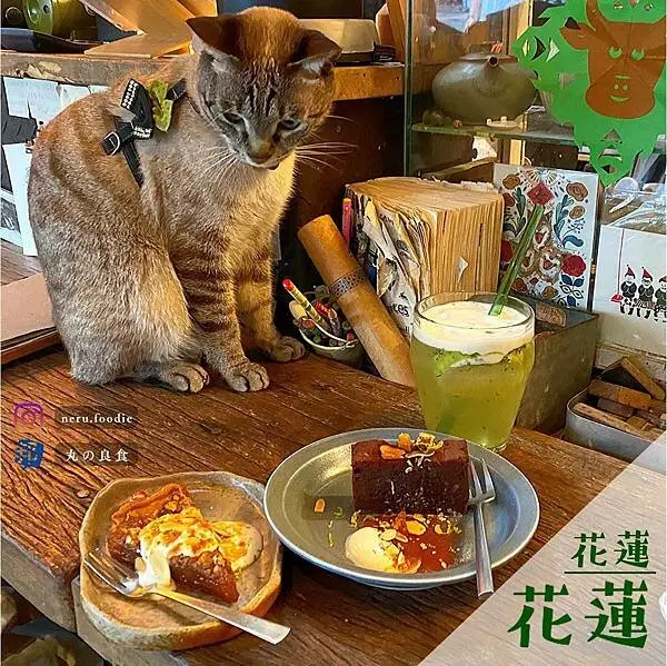 Caffe Fiore珈琲花｜花蓮氛圍貓咪咖啡廳推薦 @neru.foodie / 丸の良食