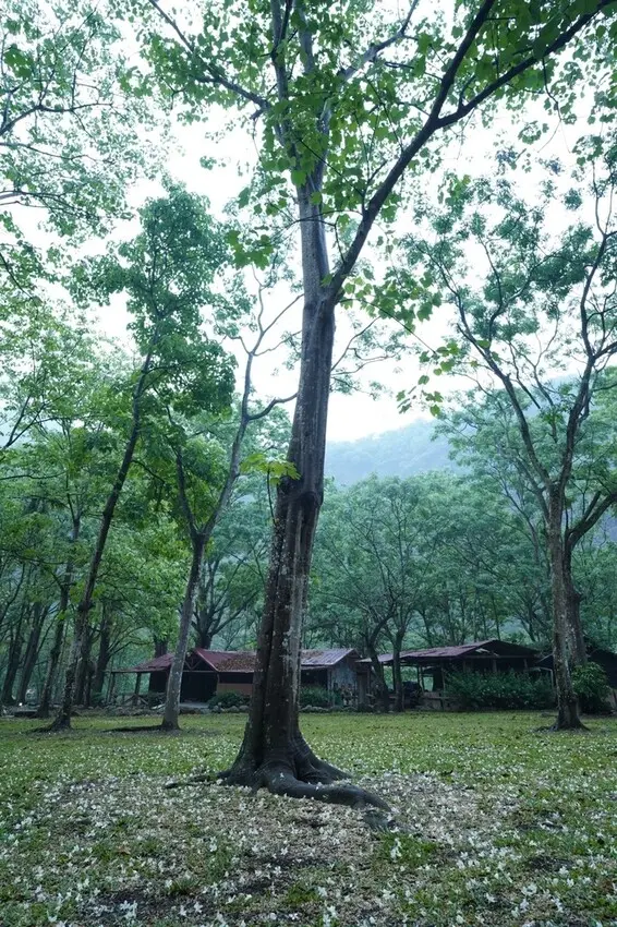 高雄宅配美食｜牛老大涮牛肉冷凍包｜露營也能享受熱騰騰的牛肉湯