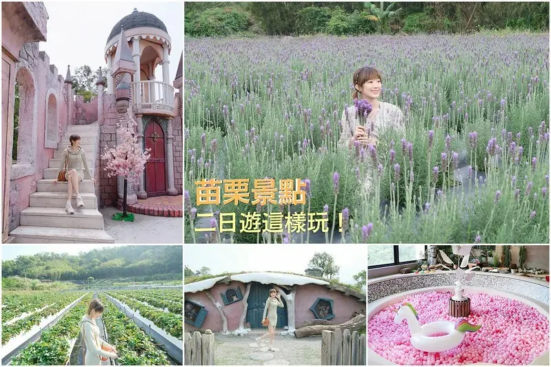  【苗栗景點二日遊】紫色薰衣草花海、哈比小鎮、高架草莓園，以及網美最愛的球池咖啡廳，約會景點好去處，