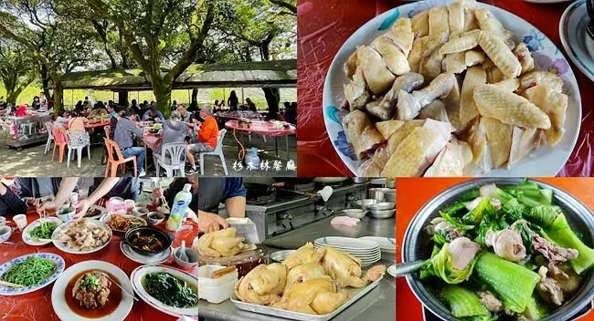 陽明山土雞餐廳 ▶ 竹子湖杉木林餐廳 ▶ 庭院大樹下享用現炒野菜、放山雞 免費地瓜湯、米粉湯!