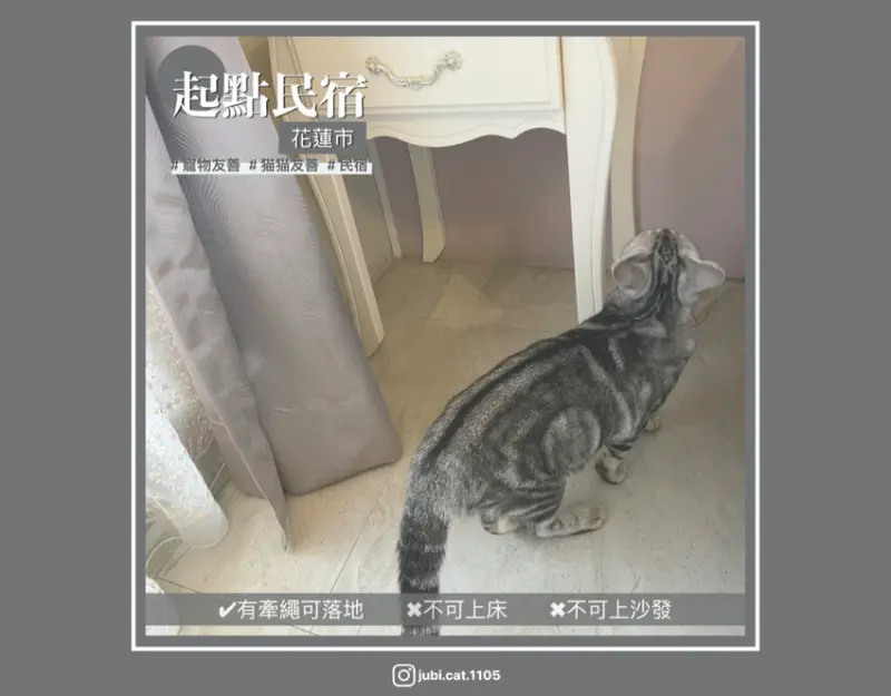 【起點民宿】｜花蓮｜貓貓友善｜寵物友善住宿｜寵物友善民宿