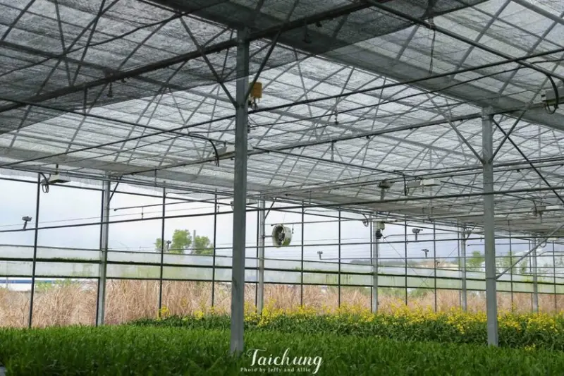 【台中新社景點】十大食農體驗經典路線-純葡農村鄉野行，賞蘭花、採菇、葡萄樹下午茶！