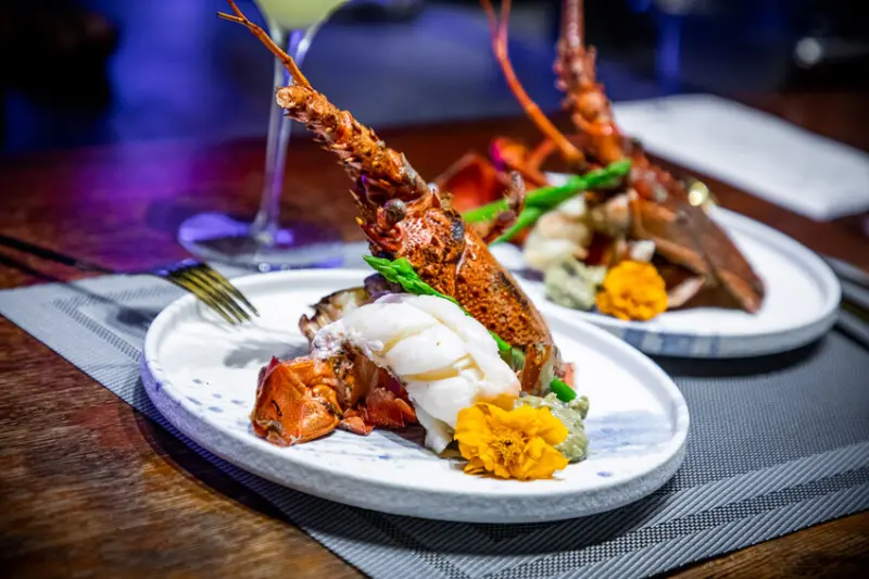 織田信長無菜單手作料理｜史上最難訂的無菜單料理！足足十三道料理還很便宜