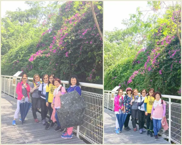 彰化八卦山[空中步道] 輕旅遊