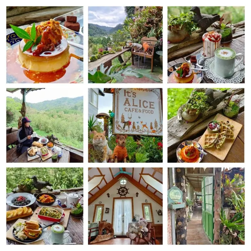 【新竹.竹東】It's Alice Cafe&Food寵物友善餐廳。咖啡+鬆餅+甜點+燉飯+義大利麵