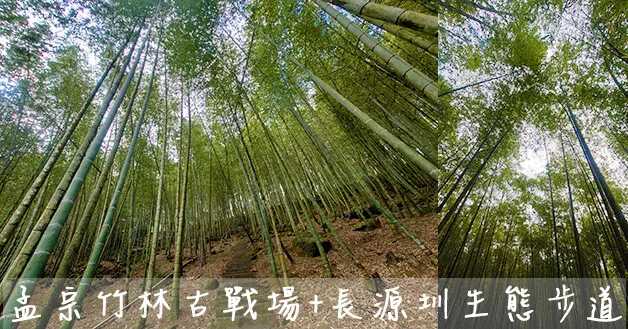 【南投景點】孟宗竹林古戰場+長源圳生態步道(寵物友善景點)，一片綠意盎然，當被竹林圍繞時，可以感受到大自然寧靜，走進綠色夢幻隧道隨便拍都美。南投旅遊 親子旅遊景點