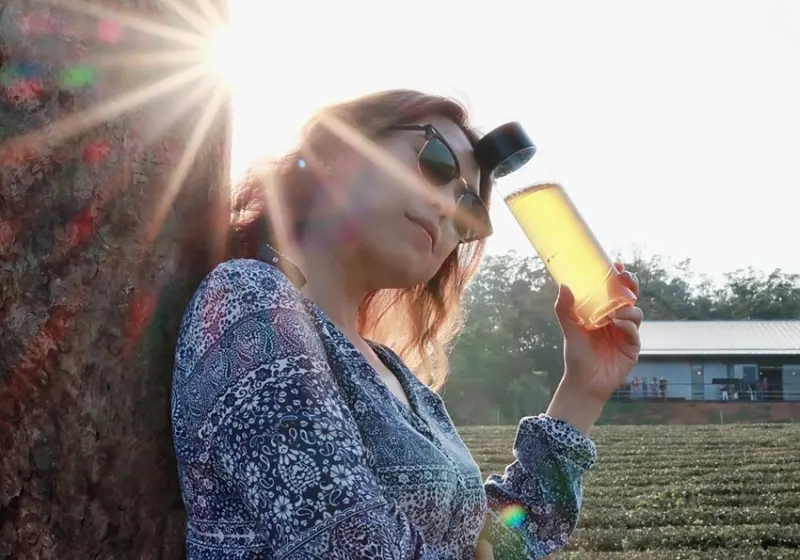 苗栗旅遊景點/銅鑼茶廠，品茶之餘還可以漫步在遼闊的茶園內，不時還可以捕捉火車劃過的瞬間