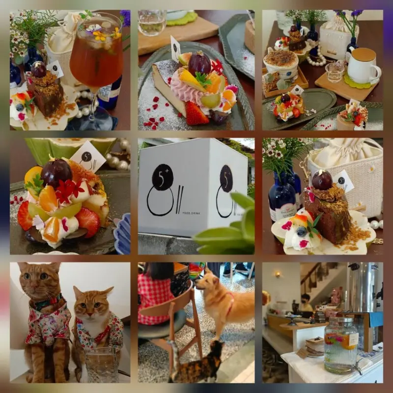 【花蓮市區】寵物友善甜點店。5+商行擺盤超美+食材超優秀+甜點無敵好吃+超友善動物