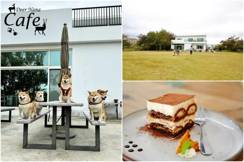 Deer Nana Cafe，新竹寵物友善餐廳推薦，有一大片草皮放風，除了環境舒服之外，餐點也很厲害！