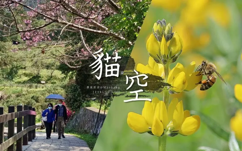 撰風【貓空旅遊懶人包】貓纜、壺穴、魯冰花步道整理