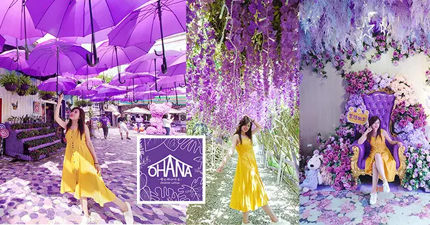 【苗栗景點】噢哈娜咖啡屋，紫色可以讓你瘋狂嗎?那麼一定要來到這個紫爆世界，整個園區裡裡外外紫到不像話、紫到讓人覺得很不可思議，紫色風爆襲捲而來。網美拍照景點